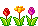 row of tulips